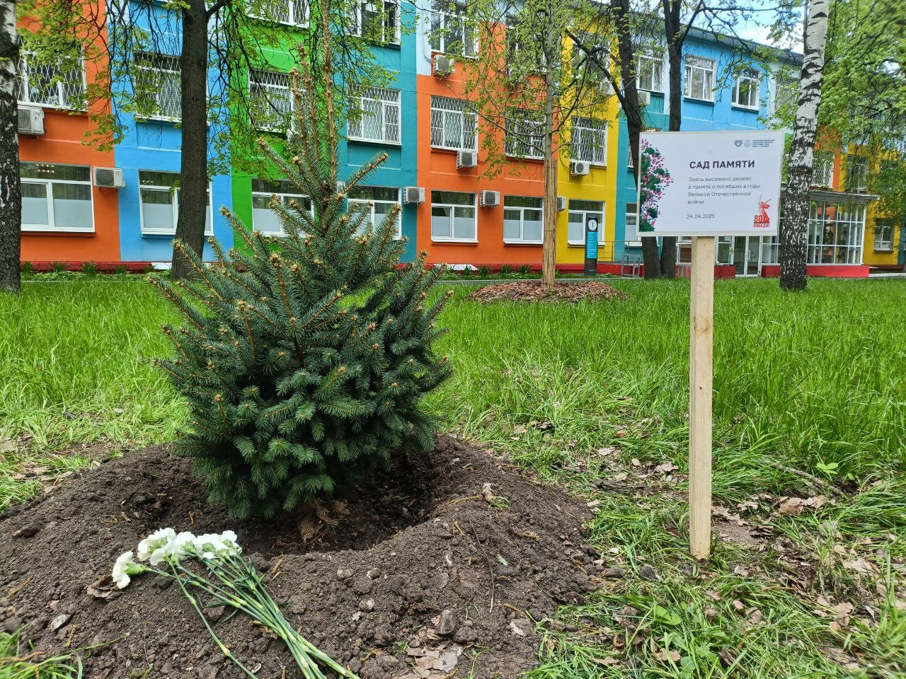 Фотография к материалу «Акция «Сад Памяти» в Центре им. Г.Е. Сухаревой»